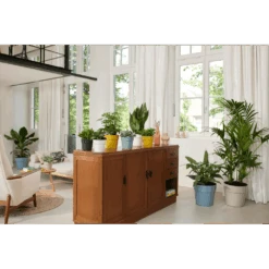 Bloempot Elho B.for Original Rond 25cm - Duifblauw -Huisdecoratie bfor original rond bloempot duifblauw 4 1