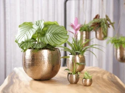 Bloempot Kody - D23 X H19cm - Rosu00e9 Goud 5 Bloempot Kody - D23 X H19cm - Rosu00e9 Goud -Huisdecoratie bloempot kody d23 h19 rose goud bloempot 6 7