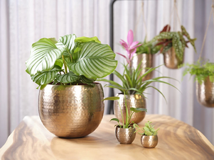 Bloempot Kody - D23 X H19cm - Rosu00e9 Goud 4 Bloempot Kody - D23 X H19cm - Rosu00e9 Goud - Afbeelding 2