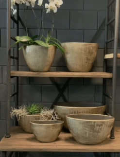 Bloempot Kos Ovaal - L30 X B13 X H17cm - Goud 7 Bloempot Kos Ovaal - L30 X B13 X H17cm - Goud -Huisdecoratie bloempot kos serie ovaal goud bloempot 3 1 1