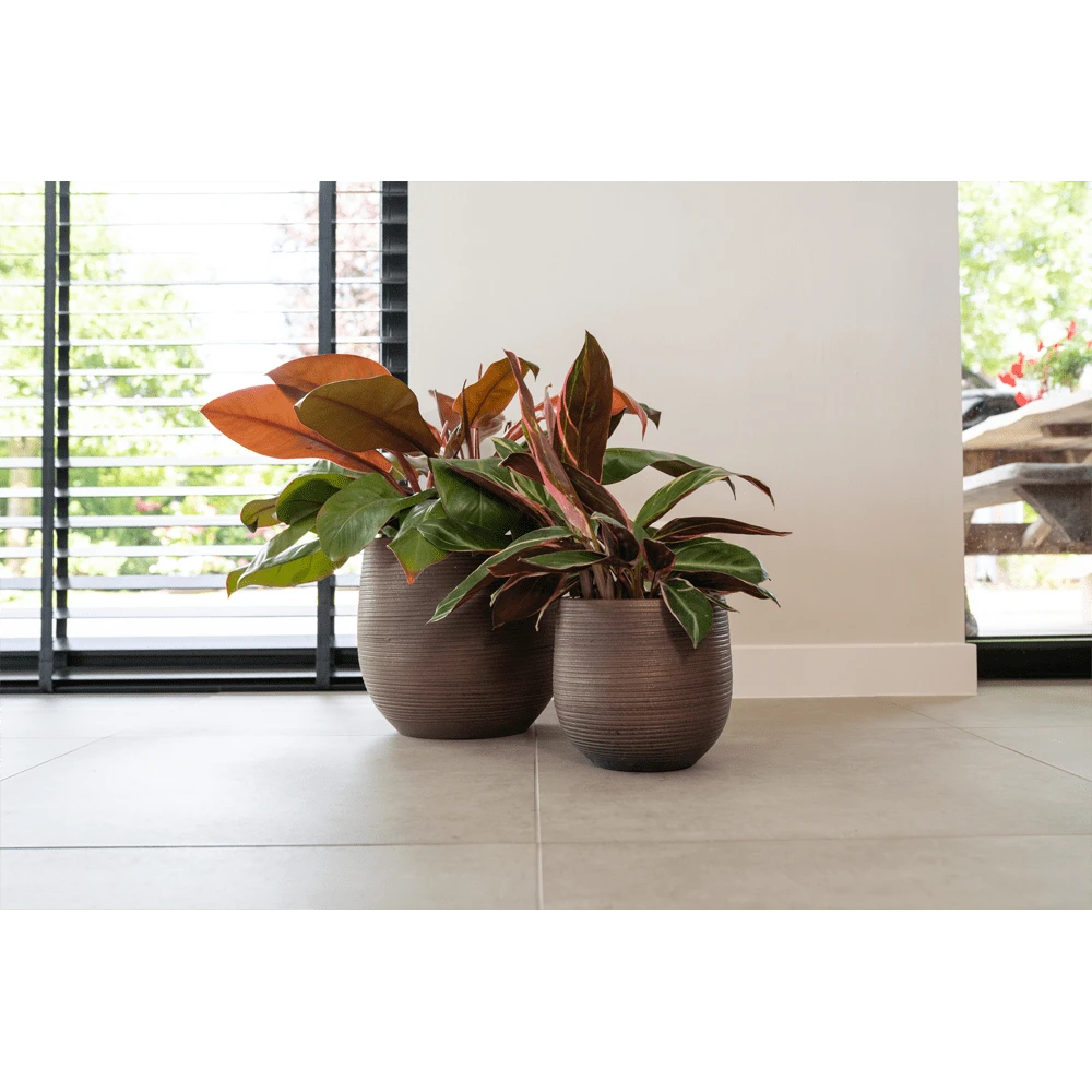 Bloempot Lydia - D22 X H20cm - Shiny Purple 4 Bloempot Lydia - D22 X H20cm - Shiny Purple - Afbeelding 2