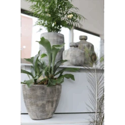 Bloempot Miami Ovaal - L41 X D19 X H22cm - Zwart Cement 5 Bloempot Miami Ovaal - L41 X D19 X H22cm - Zwart Cement -Huisdecoratie bloempot miami ovaal zwart cement 2 1 1