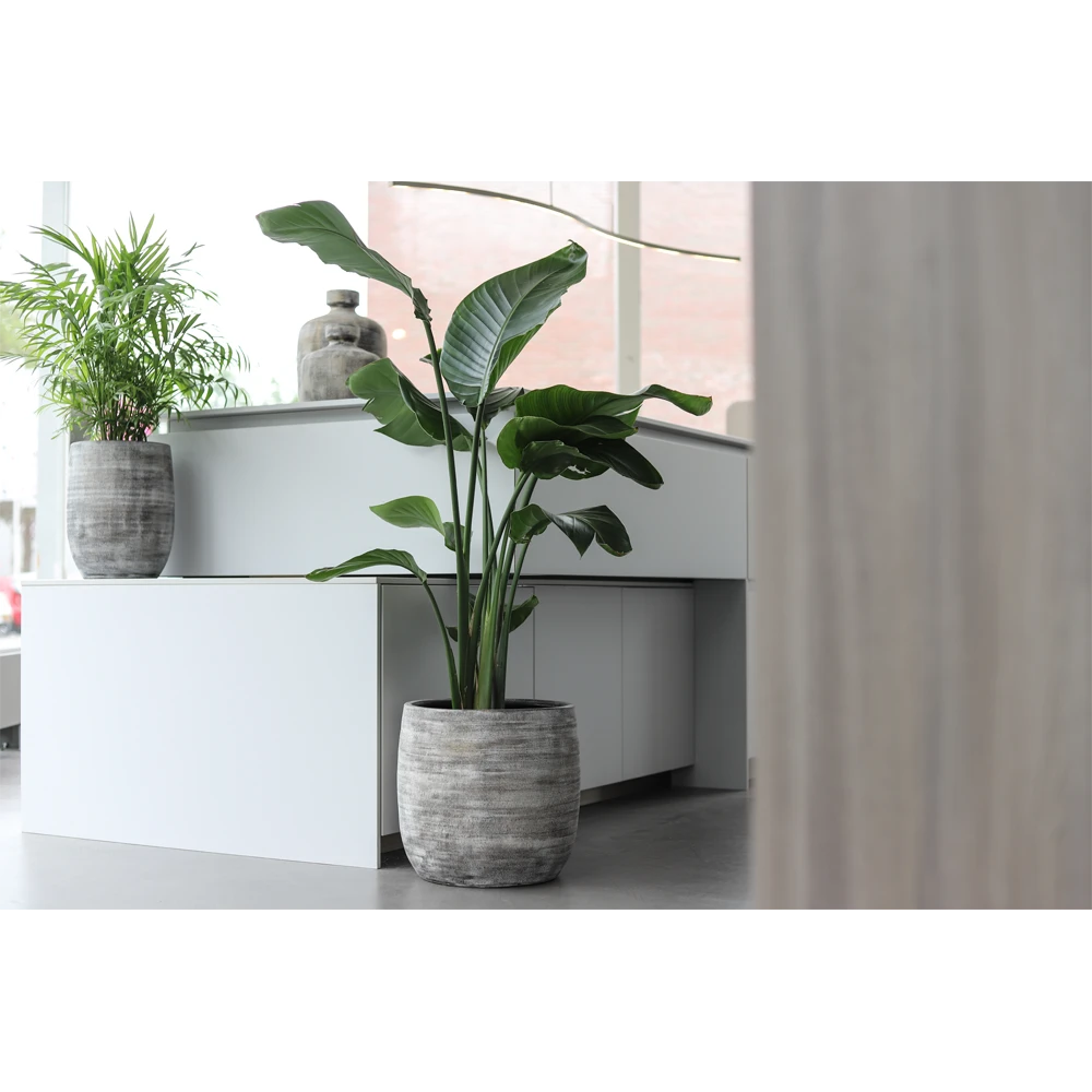 Bloempot Miami - D27 X H25cm - Zwart Cement 4 Bloempot Miami - D27 X H25cm - Zwart Cement - Afbeelding 2