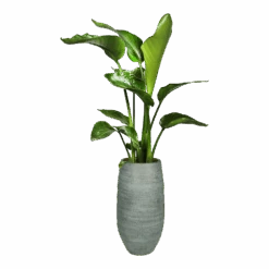 Bloempot Ryan Hoog - D19 X H50cm - Shiny Blue -Huisdecoratie bloempot ryan hoog d19 x h50cm shiny blue bloempot 6