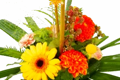 Boeket Beatrix Middel -Huisdecoratie boeket beatrix boeketten 4 3