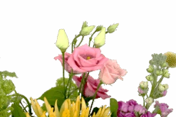 Boeket Eline Middel -Huisdecoratie boeket eline boeketten 4