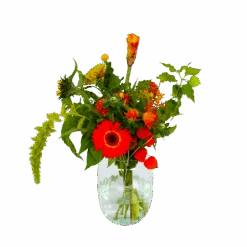 Boeket Herfst Uit Het Veld Groot