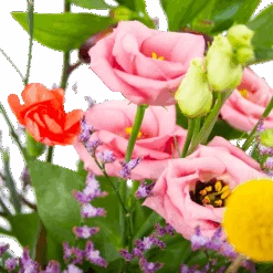 Boeket Kleurrijk Geplukt Klein -Huisdecoratie boeket kleurrijk geplukt boeketten 3