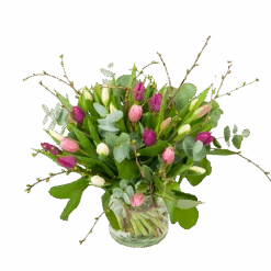 Boeket Kleurrijke Tulp Groot