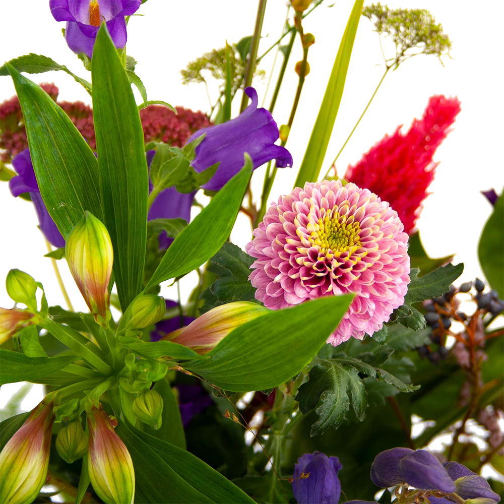 Boeket Paarse Passie Klein 6 Boeket Paarse Passie Klein - Afbeelding 4