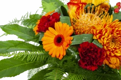 Boeket Piet Klein 9 Boeket Piet Klein -Huisdecoratie boeket piet boeketten 3