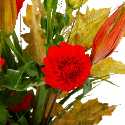 Boeket Pluim Van Het Najaar Groot -Huisdecoratie boeket pluim van het najaar groot boeketten 3