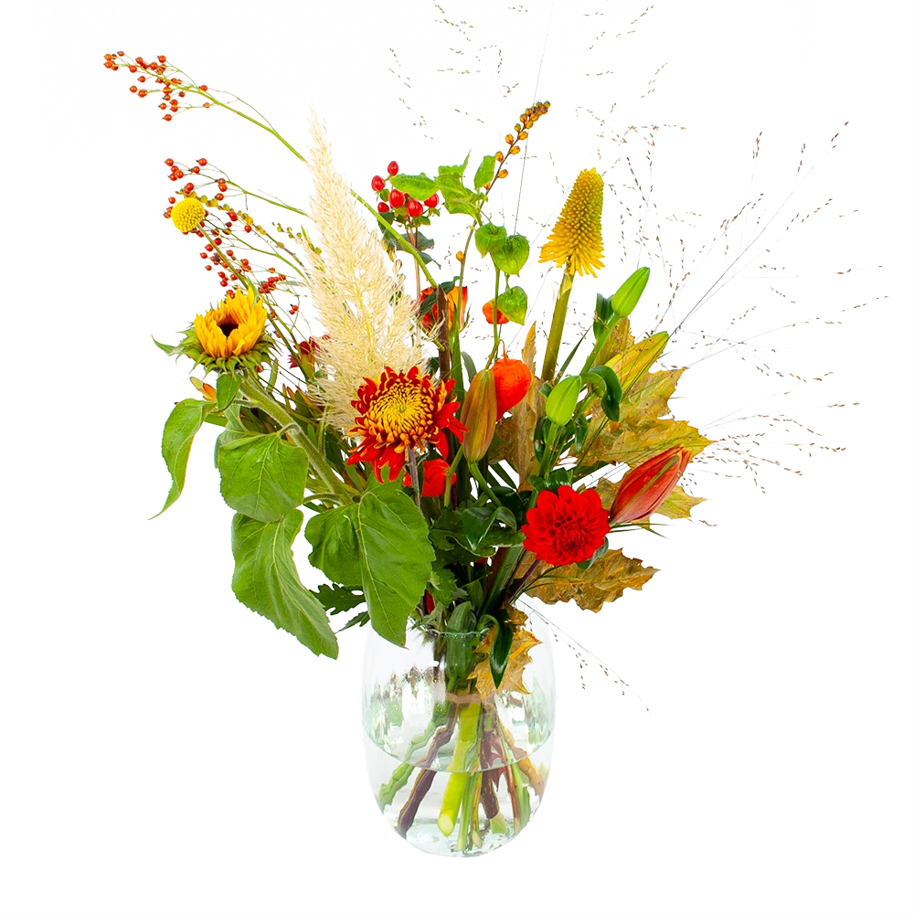 Boeket Pluim Van Het Najaar Klein 3 Boeket Pluim Van Het Najaar Klein