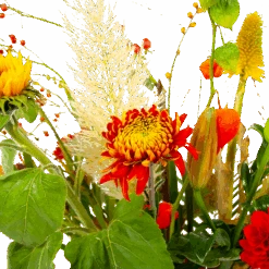 Boeket Pluim Van Het Najaar Klein 11 Boeket Pluim Van Het Najaar Klein -Huisdecoratie boeket pluim van het najaar klein boeketten 4