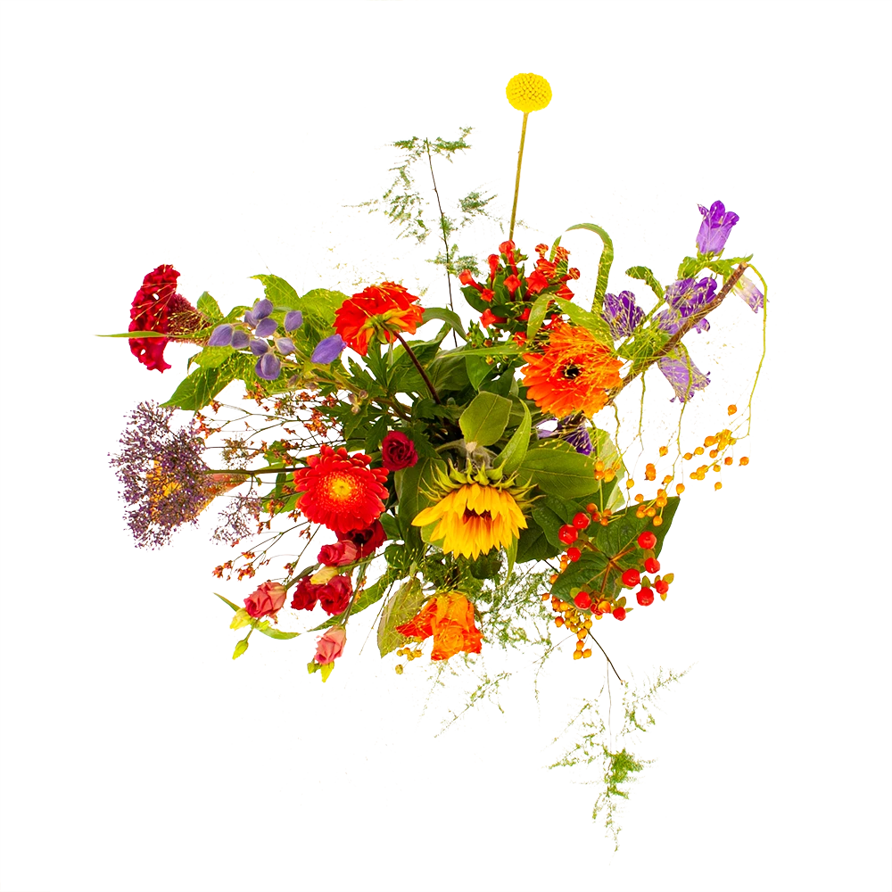 Boeket Plukgeluk Groot 4 Boeket Plukgeluk Groot - Afbeelding 2