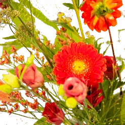 Boeket Plukgeluk Groot 10 Boeket Plukgeluk Groot -Huisdecoratie boeket plukgeluk groot boeketten 3