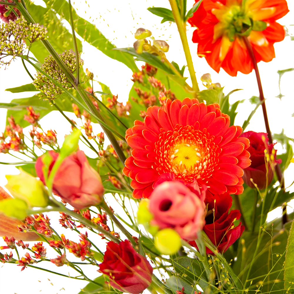 Boeket Plukgeluk Groot 5 Boeket Plukgeluk Groot - Afbeelding 3