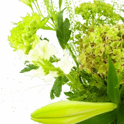 Boeket Puur Natuur Groot 10 Boeket Puur Natuur Groot -Huisdecoratie boeket puur natuur boeketten 3 1