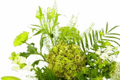 Boeket Puur Natuur Groot 11 Boeket Puur Natuur Groot -Huisdecoratie boeket puur natuur boeketten 4 1