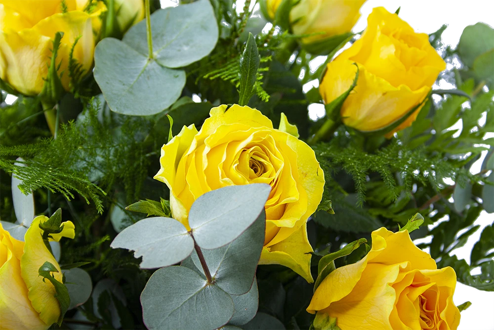 Boeket Rosa Geel Groot 5 Boeket Rosa Geel Groot - Afbeelding 3