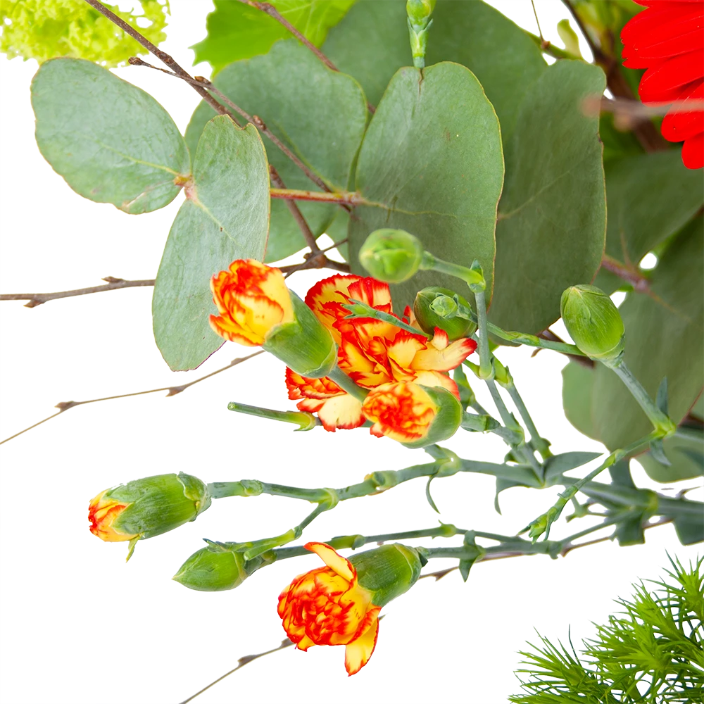 Boeket Speciale Verrassing Middel 4 Boeket Speciale Verrassing Middel - Afbeelding 2