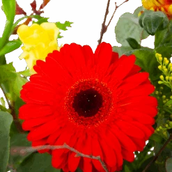 Boeket Speciale Verrassing Middel 9 Boeket Speciale Verrassing Middel -Huisdecoratie boeket speciale verrassing boeketten 3