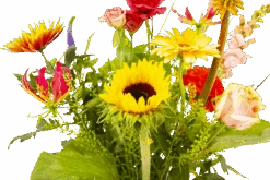 Boeket Vlinder Klein -Huisdecoratie boeket vlinder boeketten 3 3