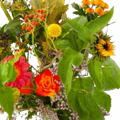 Boeket Vrolijk Klein 11 Boeket Vrolijk Klein -Huisdecoratie boeket vrolijk klein boeketten 4