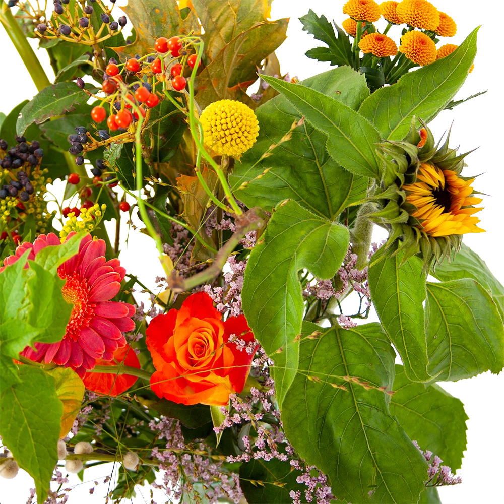 Boeket Vrolijk Klein 6 Boeket Vrolijk Klein - Afbeelding 4