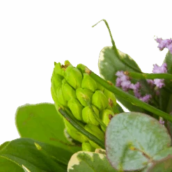 Boeket Vrolijk Seizoen Groot -Huisdecoratie boeket vrolijk seizoen boeketten 3 1