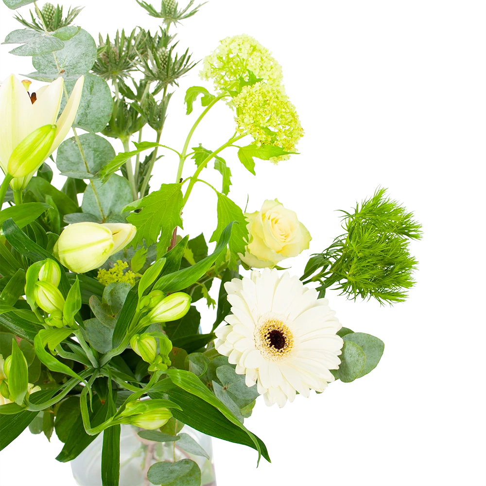 Boeket Wit Gebaar Klein 4 Boeket Wit Gebaar Klein - Afbeelding 2