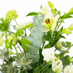 Boeket Wit Gebaar Klein 9 Boeket Wit Gebaar Klein -Huisdecoratie boeket wit gebaar boeketten 3 1