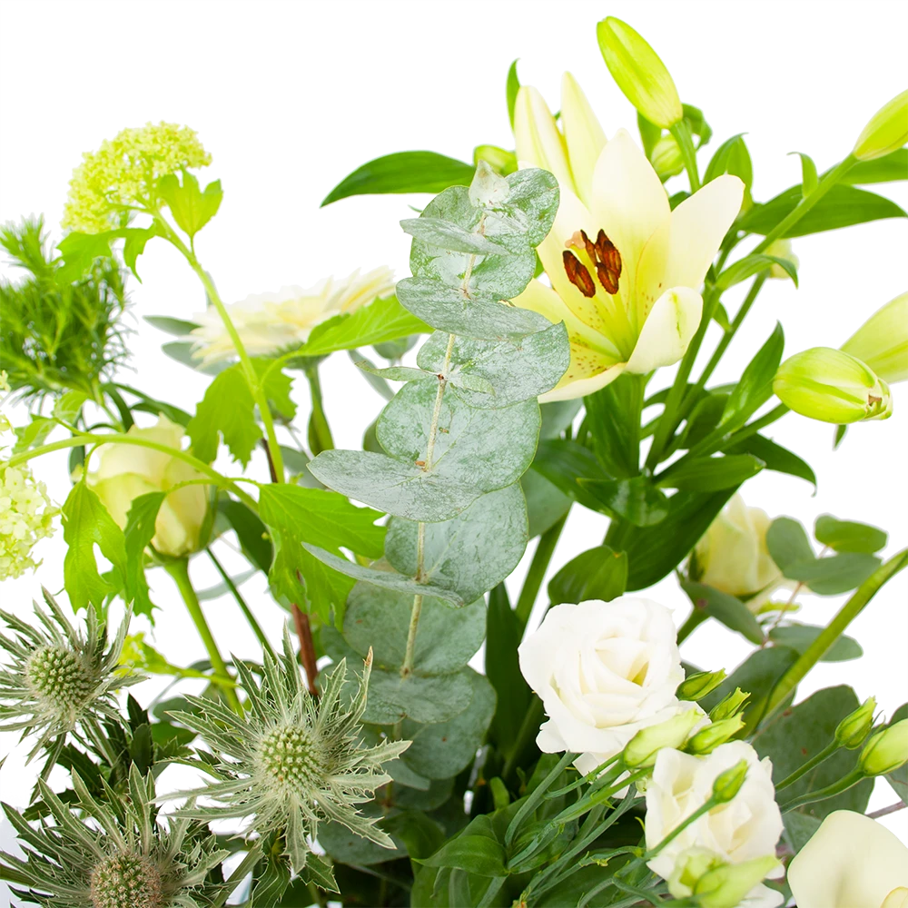 Boeket Wit Gebaar Klein 5 Boeket Wit Gebaar Klein - Afbeelding 3