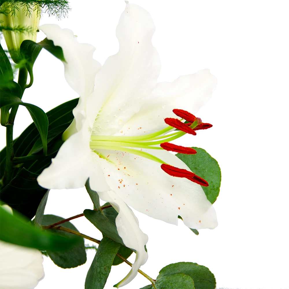 Boeket Witte Winter Middel 6 Boeket Witte Winter Middel - Afbeelding 4