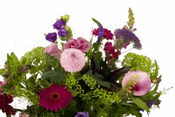 Boeket Zomerbries Middel 10 Boeket Zomerbries Middel -Huisdecoratie boeket zomerbries boeketten 3 5