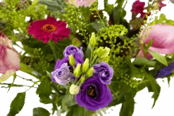 Boeket Zomerbries Middel 11 Boeket Zomerbries Middel -Huisdecoratie boeket zomerbries boeketten 4 5