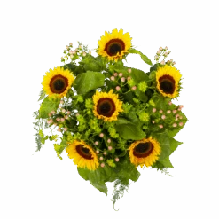 Boeket Zonnestraal Middel 9 Boeket Zonnestraal Middel -Huisdecoratie boeket zonnestraal boeketten 2 3 1