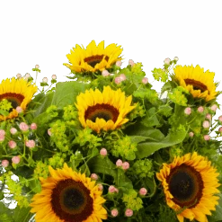 Boeket Zonnestraal Klein 10 Boeket Zonnestraal Klein -Huisdecoratie boeket zonnestraal boeketten 3 3