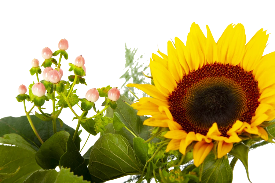 Boeket Zonnestraal Klein 6 Boeket Zonnestraal Klein - Afbeelding 4