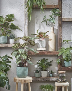 Bloempot Daan - D19 X H17.5cm - Wit 7 Bloempot Daan - D19 X H17.5cm - Wit -Huisdecoratie daan pot rond wit h17 5xd19cm bloempot 7 7