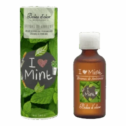 Geurolie I Love Mint 50ml - Boles D'olor