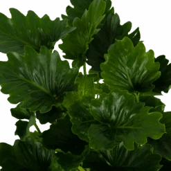 Philodendron Grizzly - P21 H55 - Kamerplant 8 Philodendron Grizzly - P21 H55 - Kamerplant -Huisdecoratie philodendron grizzly p21 h55 6