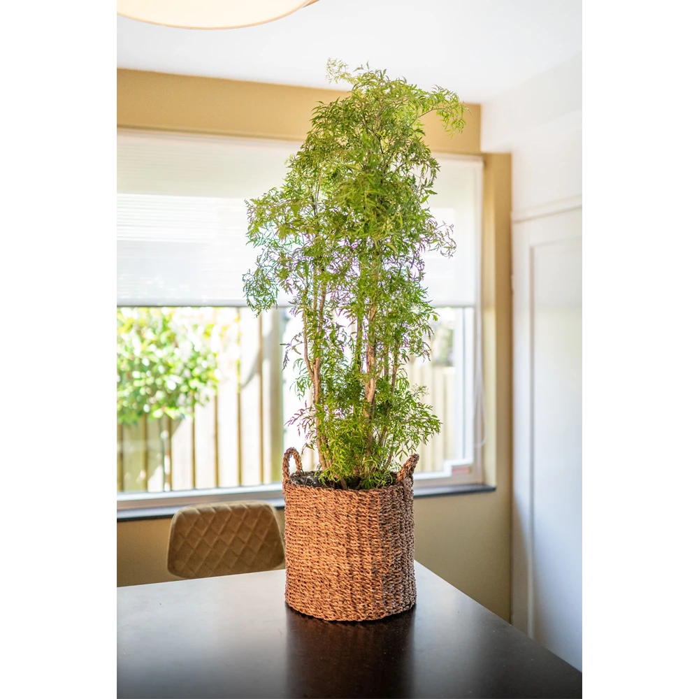 Plantenmand Joris - D33 X H31cm - Camel 4 Plantenmand Joris - D33 X H31cm - Camel - Afbeelding 2