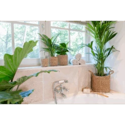 Plantenmand Joris - D42 X H36cm - Naturel -Huisdecoratie plantenmand joris naturel plantenmand 3