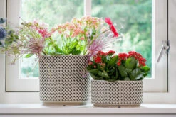 Bloempot Thies Ovaal - L26 X B12 X H13cm - Olijf Groen -Huisdecoratie planter thies olive green d26x12 h13 bloempot 6 10
