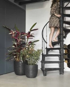 Capi Bloempot Bol Nature Rib NL - D55 X H53cm - Zwart