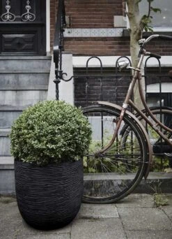 Capi Bloempot Bol Nature Row NL - D43 X H41cm - Zwart 5 Capi Bloempot Bol Nature Row NL - D43 X H41cm - Zwart -Huisdecoratie pot bol row nl 43x41 zwart bloempot 6 9