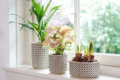 Bloempot Thies Hoog - D14 X H20cm - Olijf Groen -Huisdecoratie pot hoog thies olive green d14 h20 bloempot 6 10