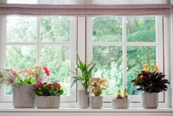 Bloempot Thies - D17 X H15cm - Olijf Groen 7 Bloempot Thies - D17 X H15cm - Olijf Groen -Huisdecoratie pot thies olive green d17 h15 bloempot 7 9