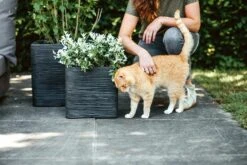 Capi Plantenbak Vierkant Nature Rib NL - L30 X B30 X H30cm - Zwart -Huisdecoratie pot vierkant rib nl 30x30x30 zwart plantenbak 7 8